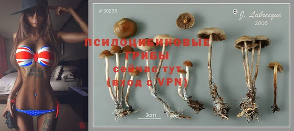 стаф Абаза