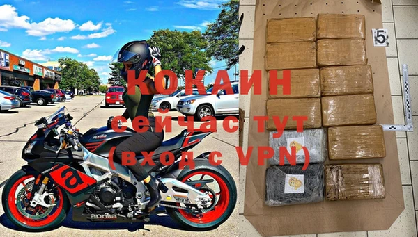 стаф Абаза