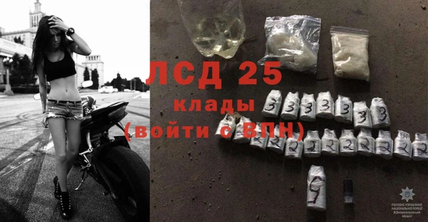 стаф Абаза