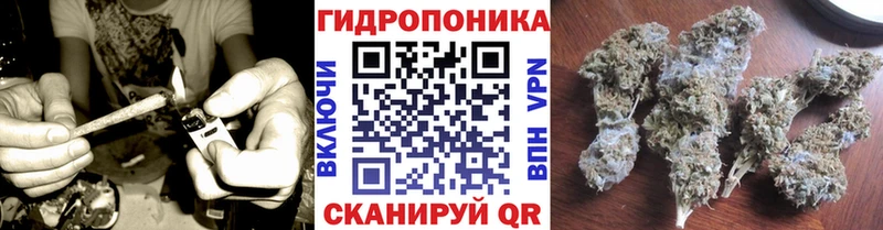Марихуана ГИДРОПОН дарк нет Telegram Ленинградская